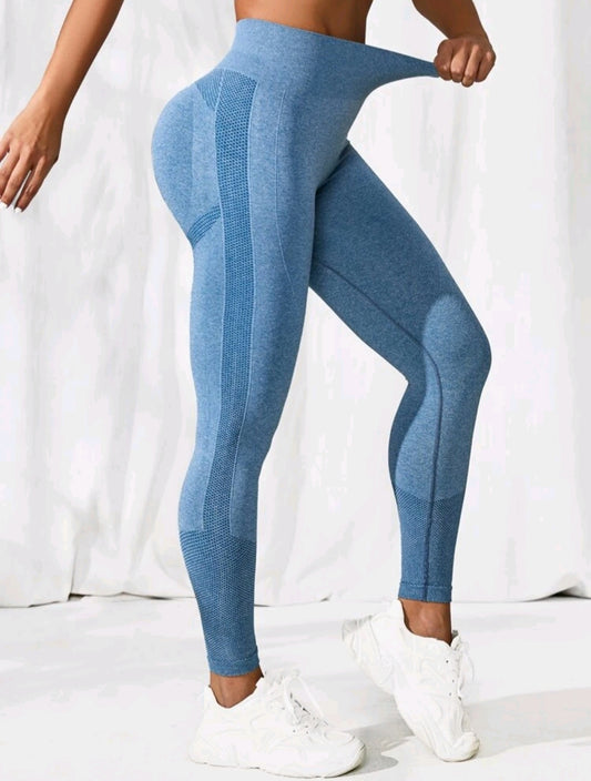 Blue Seamless Legging