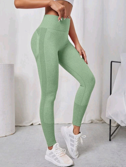 Green Seamless Legging